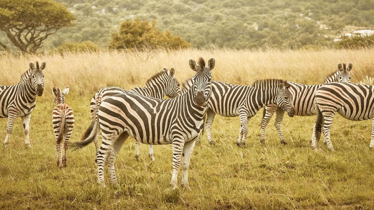 Nkomazi Game Reserve By Newmark Badplaas Exterior foto